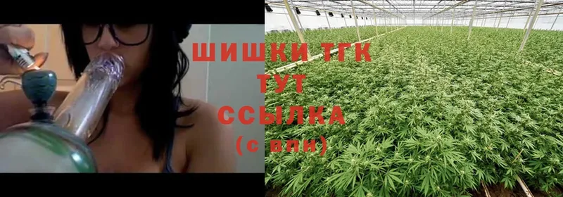 Марихуана Ganja  Великие Луки 